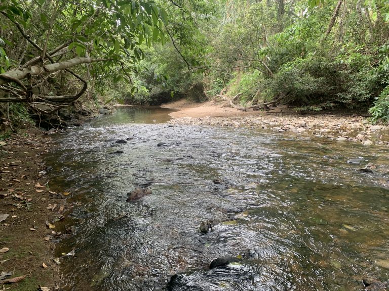 Chácara 30,49 Hectares – Rio Coxipózinho