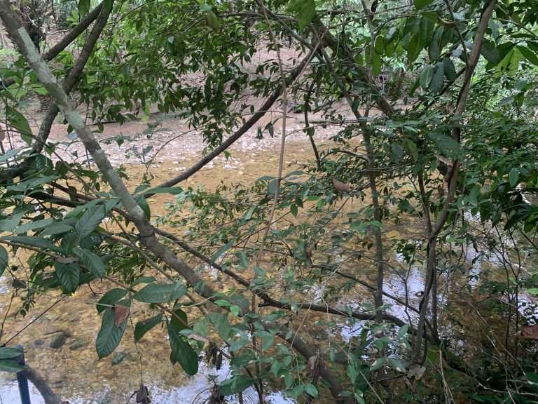 Chácara 30,49 Hectares – Rio Coxipózinho
