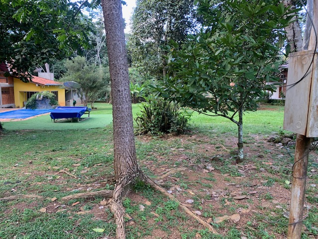Terreno – Jardim da Mata Terreno – Jardim da Mata