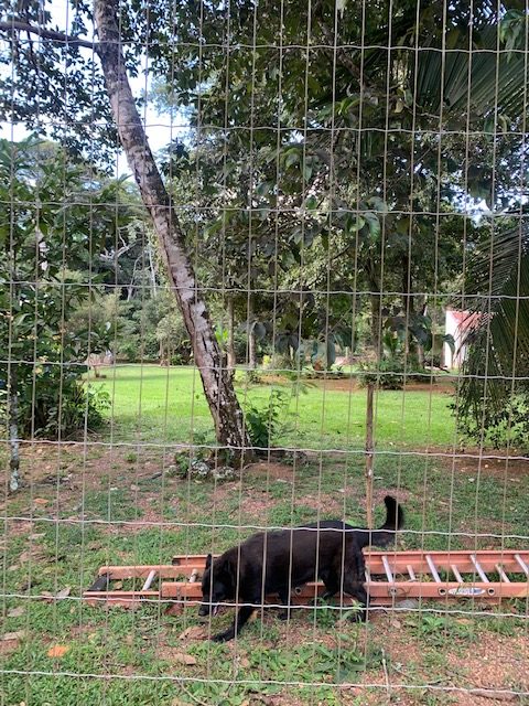 Terreno – Jardim da Mata Terreno – Jardim da Mata