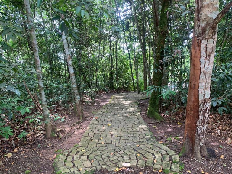 Casa na Mata – Região do Jamacá Casa na Mata – Região do Jamacá