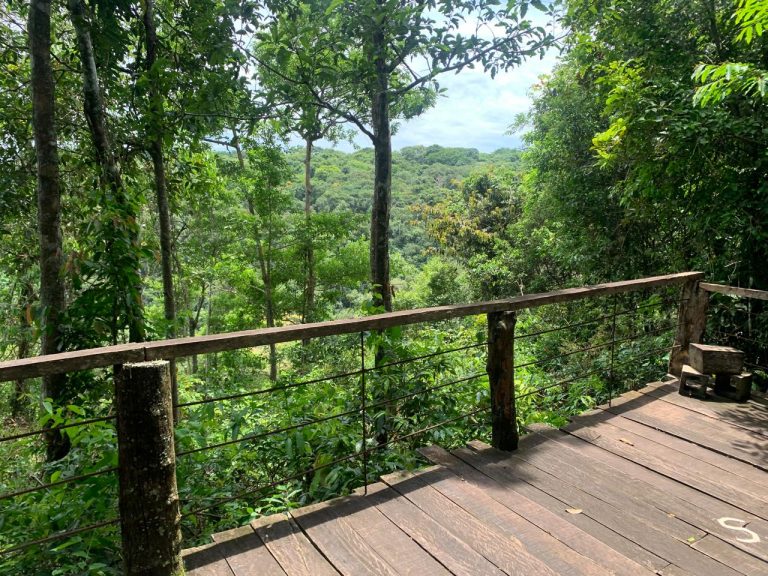 Casa na Mata – Região do Jamacá Casa na Mata – Região do Jamacá