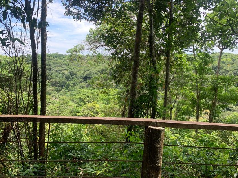 Casa na Mata – Região do Jamacá Casa na Mata – Região do Jamacá
