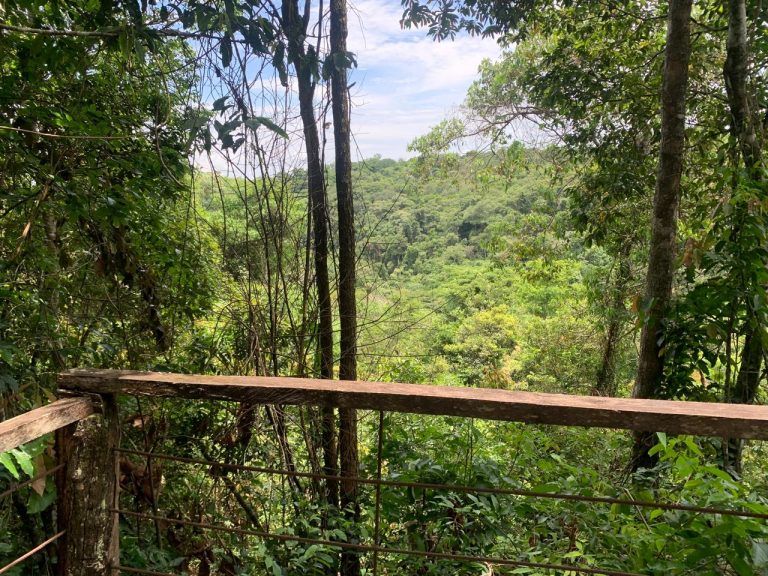 Casa na Mata – Região do Jamacá Casa na Mata – Região do Jamacá