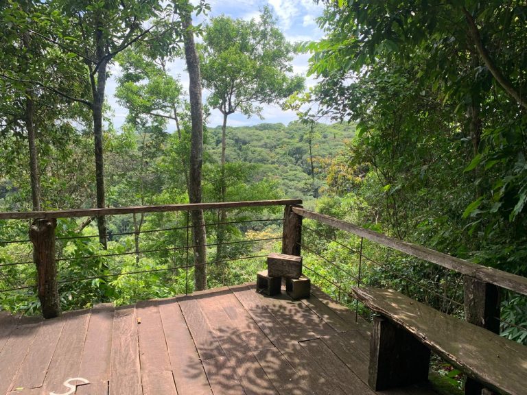 Casa na Mata – Região do Jamacá Casa na Mata – Região do Jamacá