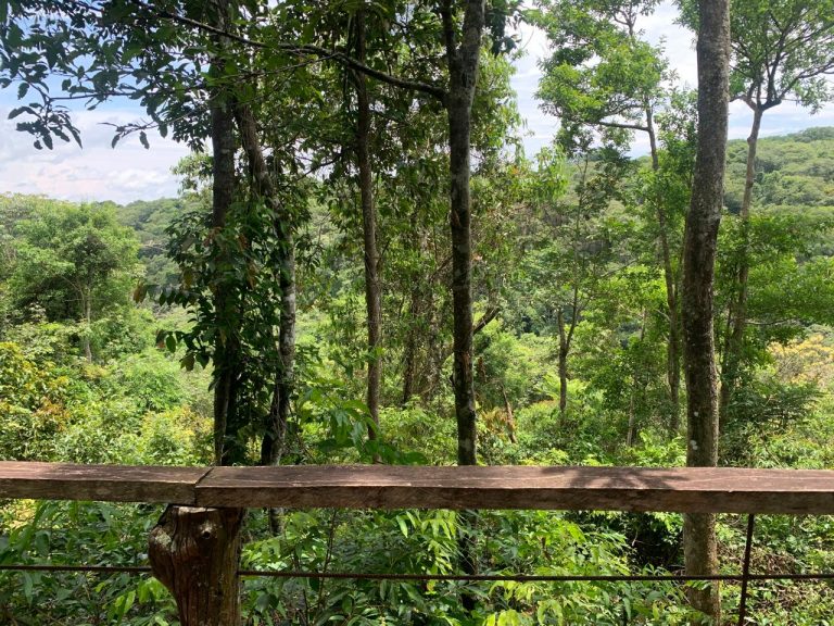 Casa na Mata – Região do Jamacá Casa na Mata – Região do Jamacá