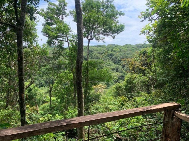 Casa na Mata – Região do Jamacá Casa na Mata – Região do Jamacá