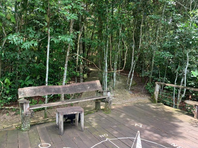 Casa na Mata – Região do Jamacá Casa na Mata – Região do Jamacá