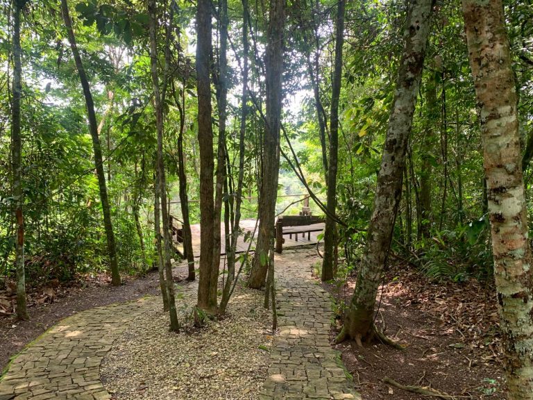 Casa na Mata – Região do Jamacá Casa na Mata – Região do Jamacá