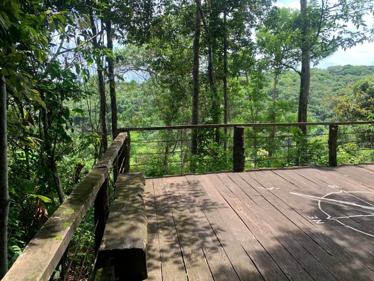 Casa na Mata – Região do Jamacá Casa na Mata – Região do Jamacá