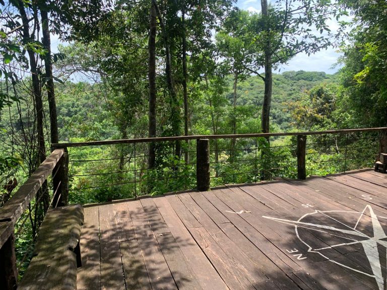 Casa na Mata – Região do Jamacá Casa na Mata – Região do Jamacá