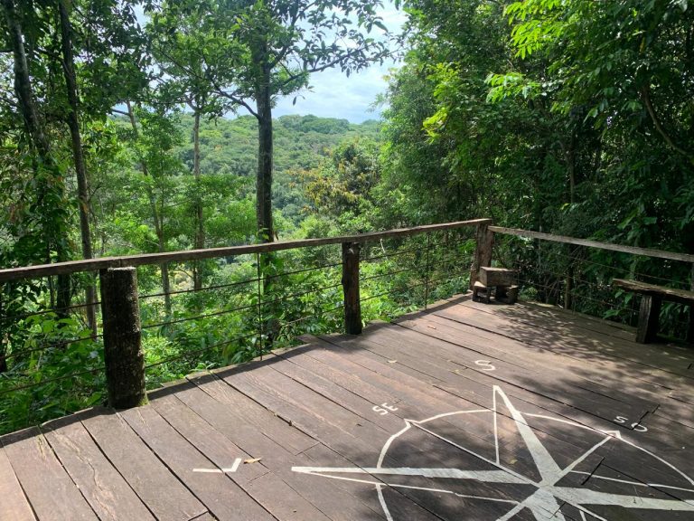 Casa na Mata – Região do Jamacá Casa na Mata – Região do Jamacá