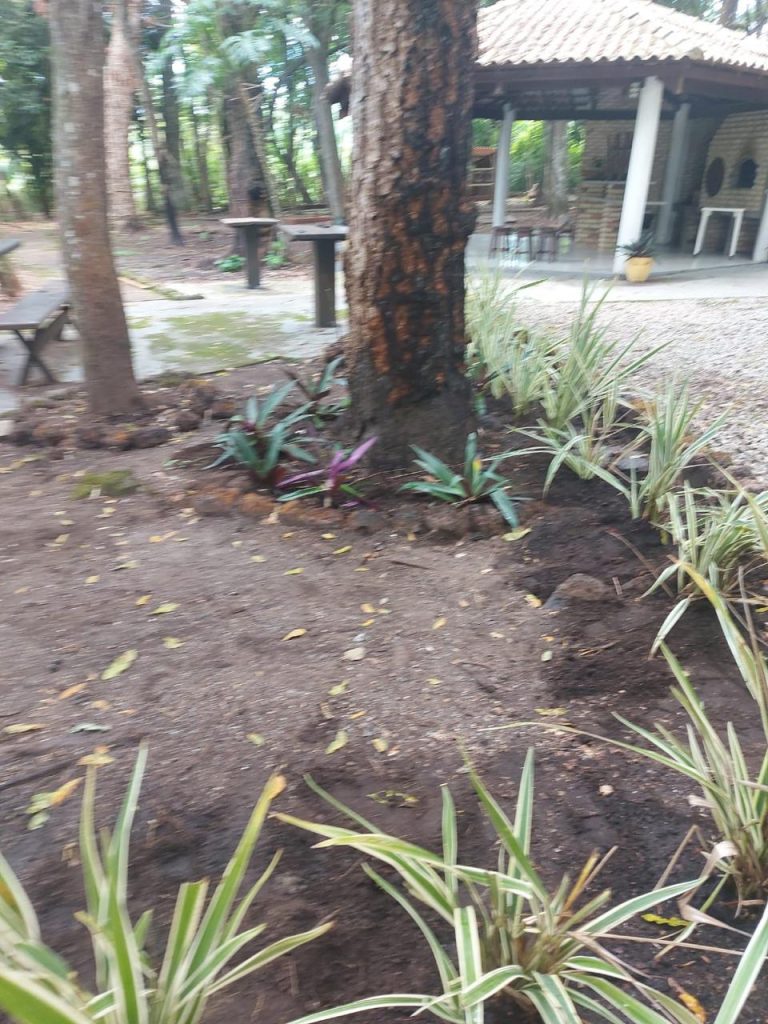 Casa do Bosque – Aldeia Velha