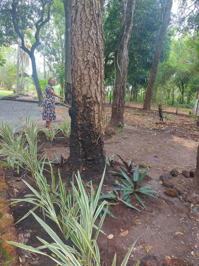 Casa do Bosque – Aldeia Velha