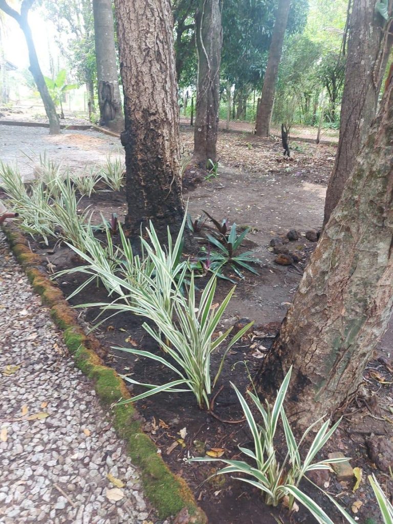 Casa do Bosque – Aldeia Velha