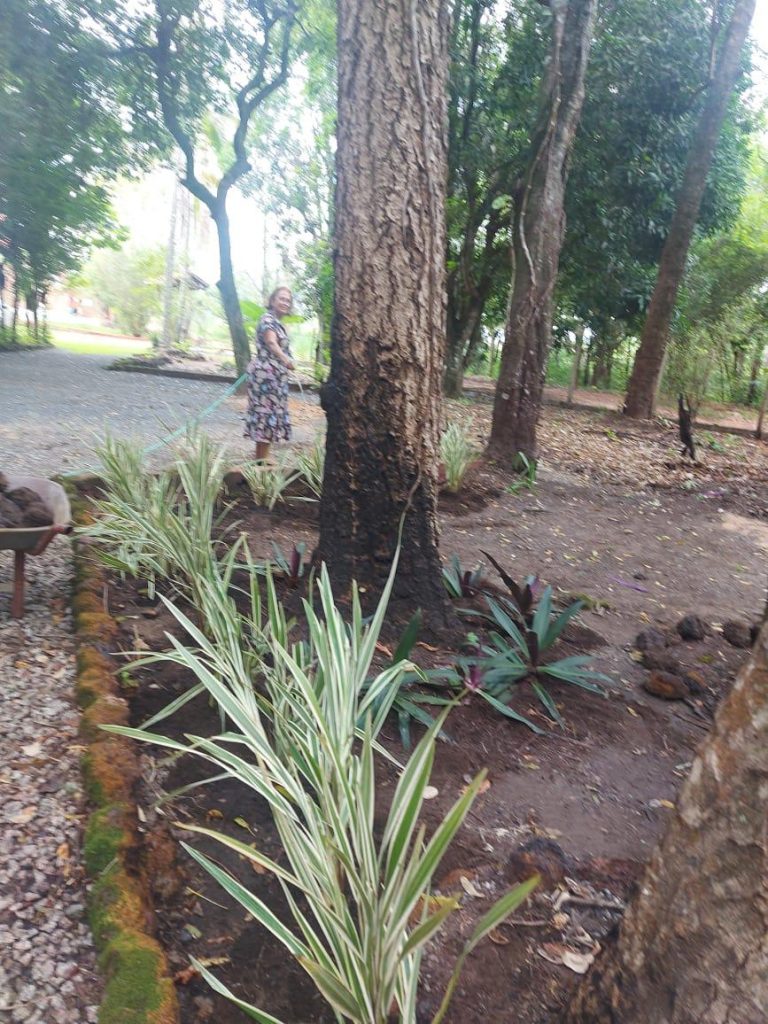 Casa do Bosque – Aldeia Velha