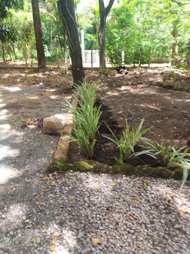 Casa do Bosque – Aldeia Velha