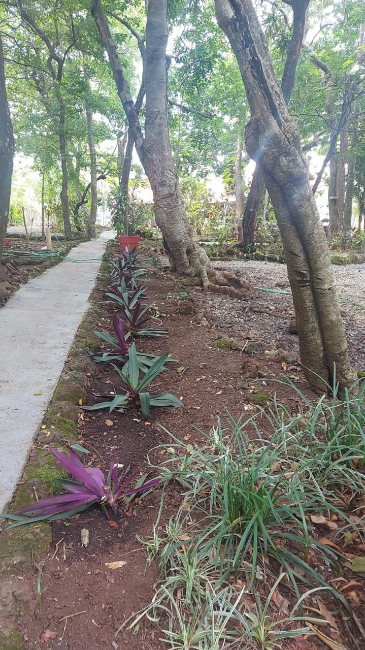 Casa do Bosque – Aldeia Velha