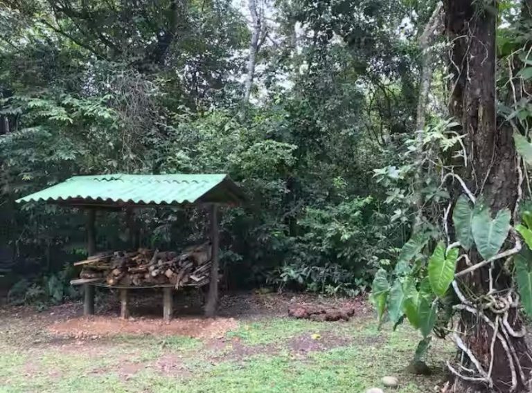 Casa na Mata – Região do Jamacá Casa na Mata – Região do Jamacá