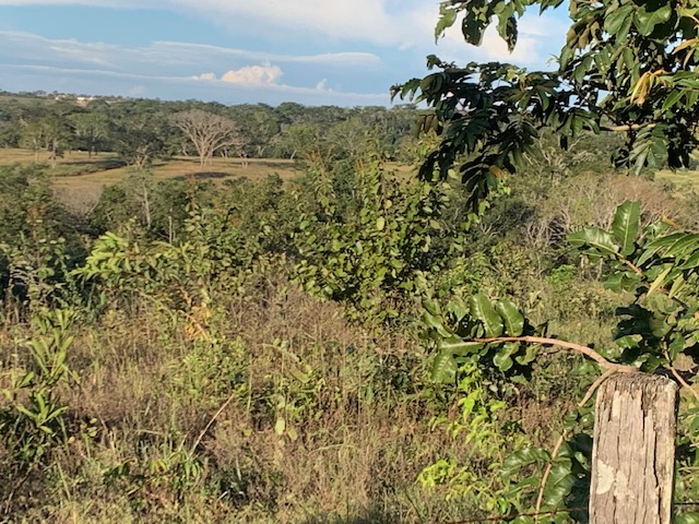 Terreno – Portal da Samambaia – Aldeia Velha