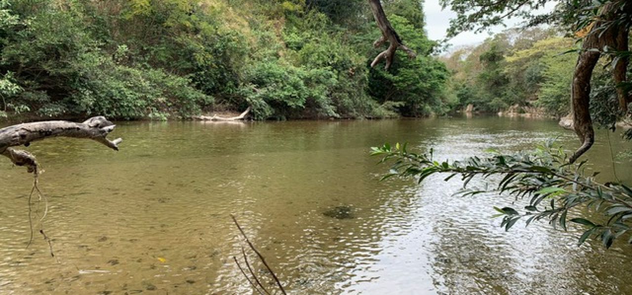 Chácara – Rio Coxipó do Ouro